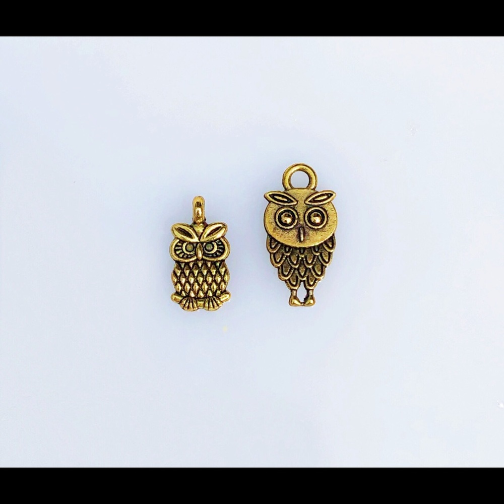💍5/$15 pair of gold Tone owl charms